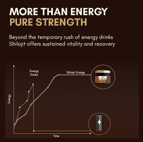 Rasayanam Pure Shilajit Resin - Himalayan Herbal Supplement, 20g - Image 6