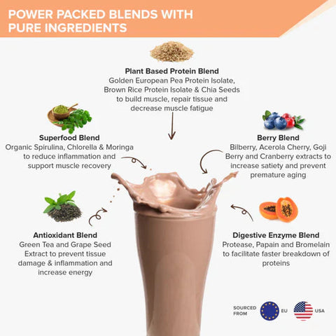Wellbeing Nutrition Superfood Plant Protein Dark Chocolate Hazelnut with KUWA Bottle