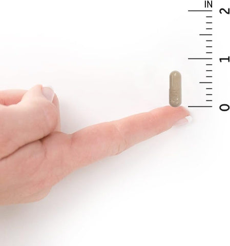 Garden Of Life Multivitamin For Women - Vitamin Code Women'S Raw Whole Food Vitamin Supplement With Probiotics, Vegetarian, 120 Count