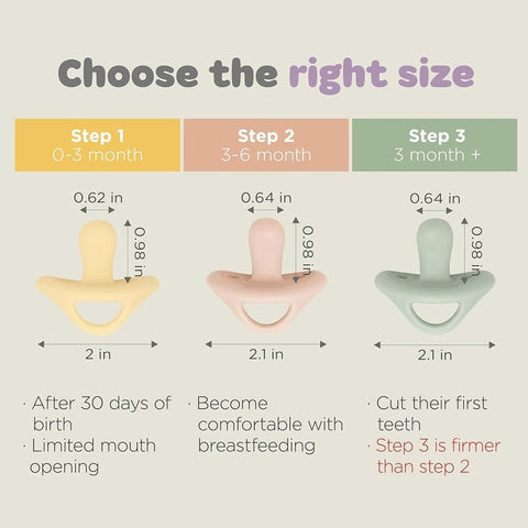 Moyuum All-Silicone Macaron Pacifier with Protective Stage 2 (3 to 6 months) Case Blueberry