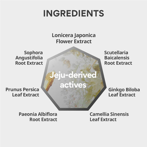 Innisfree Foot Mask with Hydrating Botanical Extracts - 7 Natural Herbal Extracts - Image 5