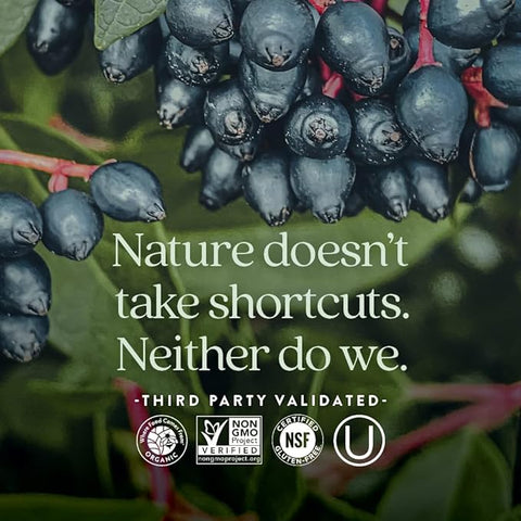 New Chapter Vitamin C + Elderberry With Fermented Vitamin C/Whole-Food Herbs + Collagen Protection, 60 Count (Pack Of 1)