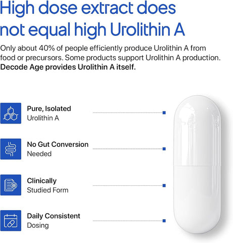Decodeage Urolithin A Capsules - Longevity Supplement, 500mg, 30 Count - Image 2