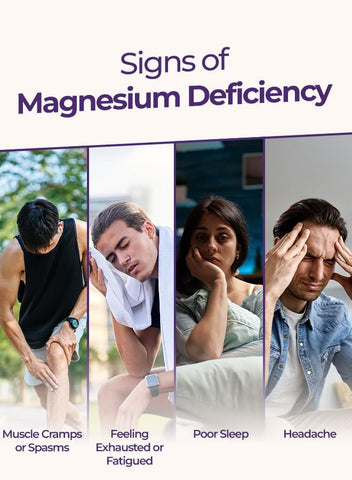 Fast & Up Magnesium and Zinc Effervescent Tablets - Blackcurrant Lime, 20 Tablets - Image 4