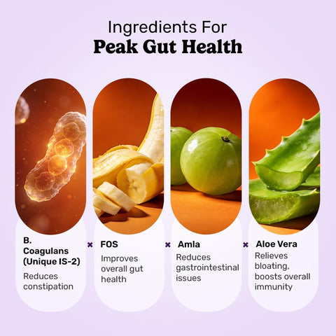 What's Up Gut Health Gummies - Probiotic Bacillus Coagulans - 30 Day Supply - Image 5