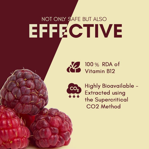 Rasayanam Plant Based Vitamin B12 120 Capsules