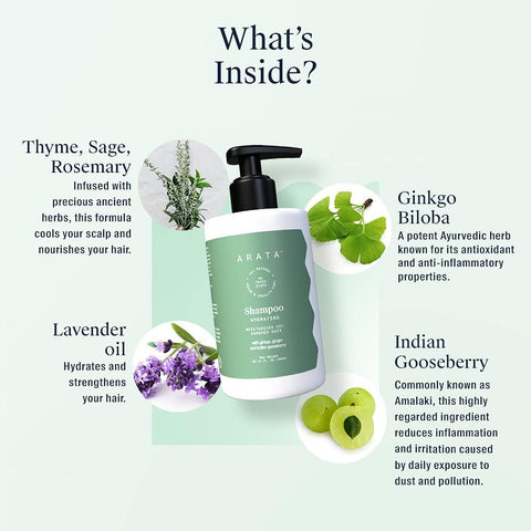 Arata Hydrating Hair Shampoo - Ginkgo, Ginger & Indian Gooseberry - 300ml - Image 2