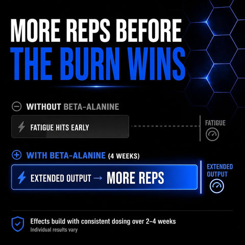 Allmax Beta Alanine Powder - Unflavoured Sports Supplement 400g - Image 4