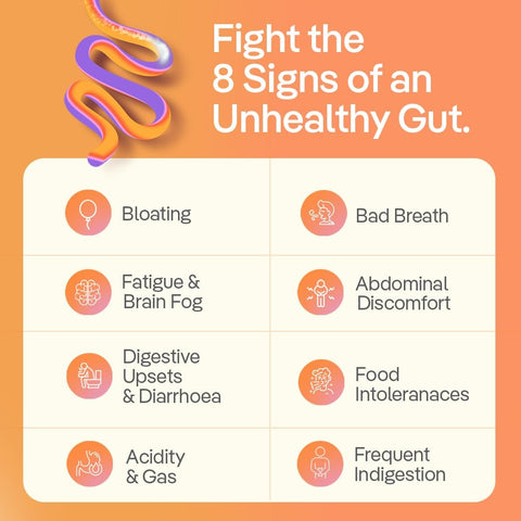 The Good Bug Gut Balance Synbiotic Sticks with Probiotics & Inulin - 30 Pack - Image 2