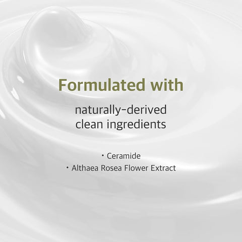Round Lab Soybean Nourishing Mask - Black Soybean Extract, Ceramide, Adenosine, 27ml (10 Pack) - Image 3