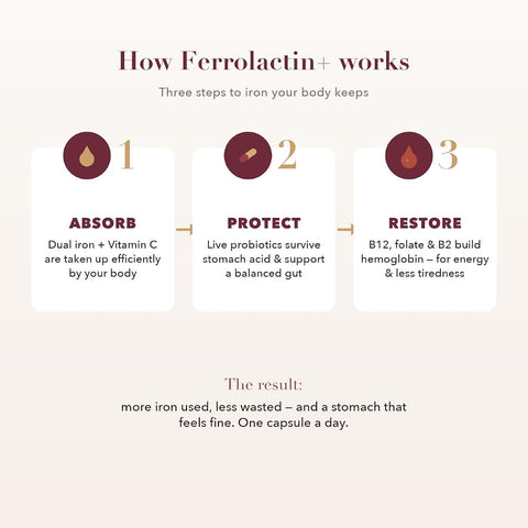 Valeo Ferrolactin+ Gentle Iron Supplement with Vitamin C & Probiotics - 60 Capsules - Image 6