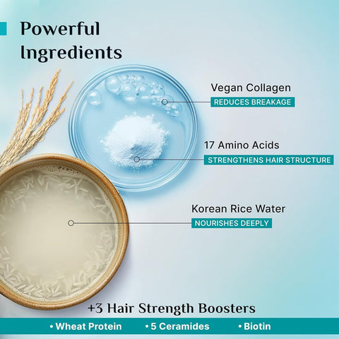Pilgrim Korean Rice Water & Collagen Damage Repair Shampoo - 200ml - Image 6