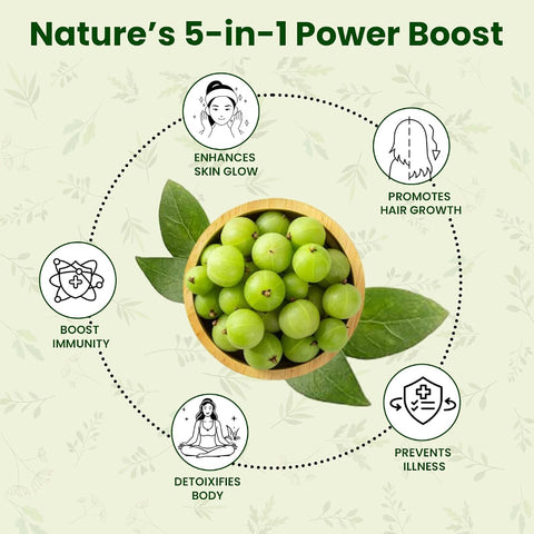 Vedapure Herbal Amla Juice - Natural Immune Booster, 500 ml - Image 4