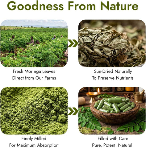 Kapiva Moringa Capsules 500mg - Ayurvedic Herbal Vitamins - 60 Veg Capsules - Image 8