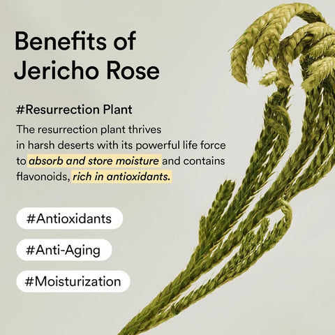Abib Jericho Rose Crème - Rich Nutrient Face Moisturiser Tube, 75ml - Image 7