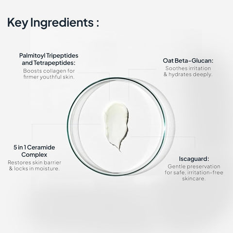 Miduty EpiRepair Night Cream - Peptide & Ceramide Skin Barrier Repair - 50g - Image 4