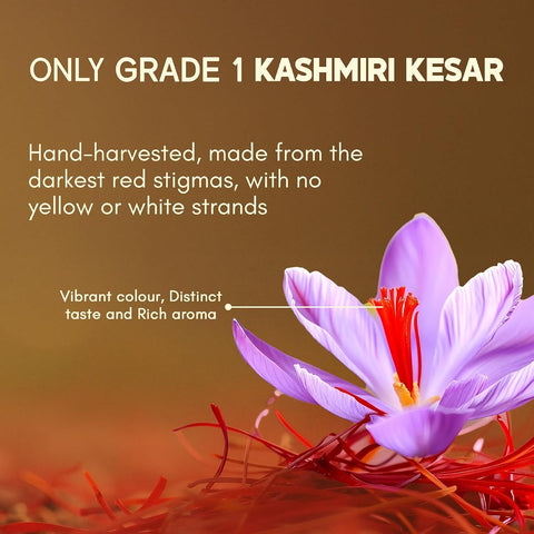 Rasayanam Kashmiri Mongra Saffron - Grade 1, Handpicked from Pampore - 1 Gram - Image 4