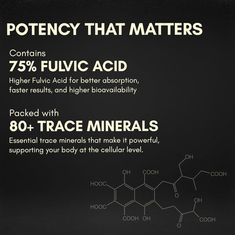 Rasayanam Shilajit Gold Resin 20g (80 Servings)