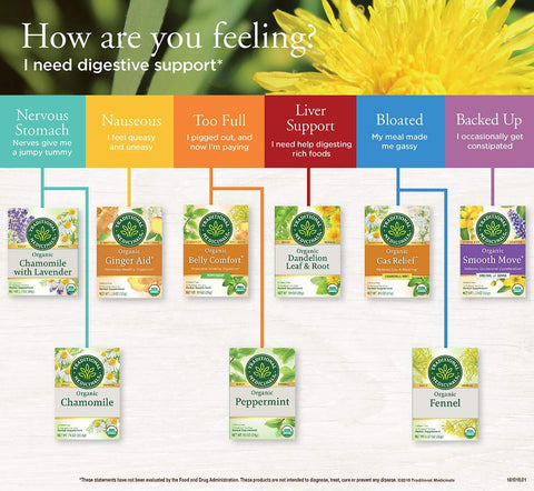 Traditional Medicinal Chamomile, 16 Teabags