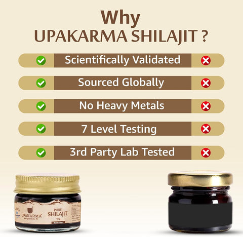 Upakarma Shilajit Resin - Original Ayurvedic Herbal, 10g - Image 7