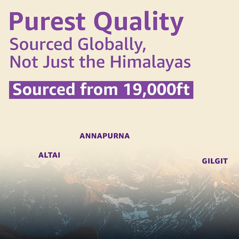Upakarma Ayurvedic Shilajit & Ashwagandha Resin - 10g - Image 8