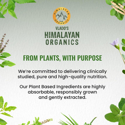 Himalayan Organics Pure Shilajit Resin with Fulvic Acid - 20g - Image 3