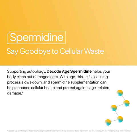 Decodeage Spermidine Capsules - 98% Spermidine Trihydrochloride, 60 Veg Capsules - Image 2
