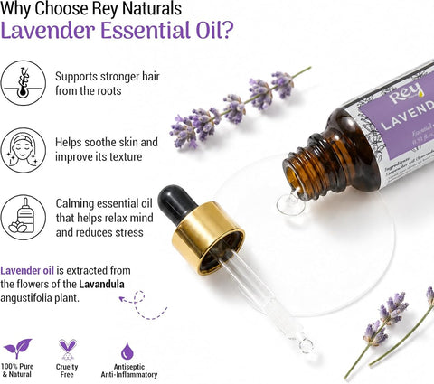 ReyNaturals Lavender Essential Oil - Pure Lavandula Angustifolia Extract, 15 ml - Image 2