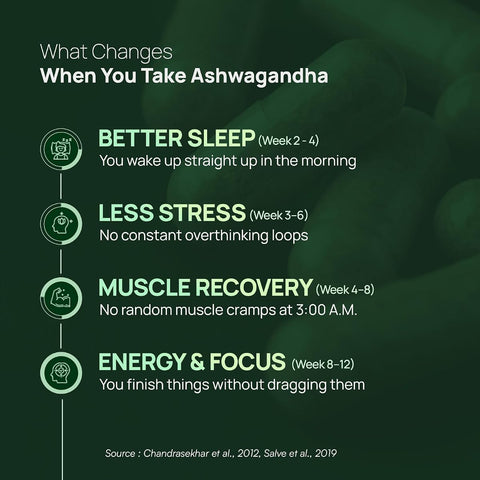 Rasayanam Ashwagandha KSM-66 Capsules - 500mg, 60 Count - Image 7