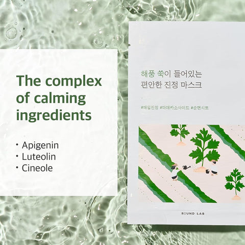 Round Lab Mugwort Calming Sheet Mask - 91.45% Mugwort Extract, 25ml (10 Pack) - Image 4