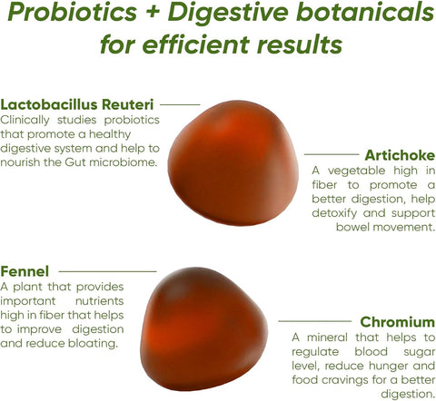Rite Balance Probiotics Vegan Gummies - Sugar-Free, Apple Flavour, 60 Count - Image 2