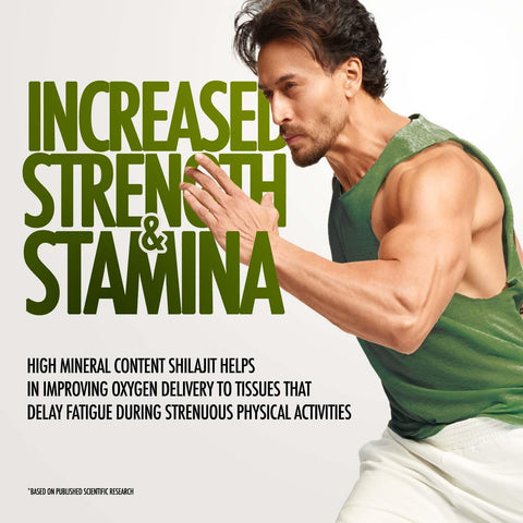 Kapiva Himalayan Shilajit/Shilajeet Resin 40g - For Endurance and Stamina | Contains Lab Report