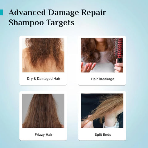 Pilgrim Korean Rice Water & Collagen Damage Repair Shampoo - 400 ml - Image 6