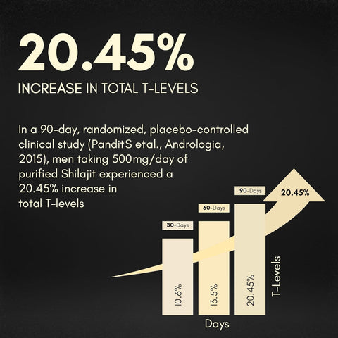 Rasayanam Shilajit Gold Resin 20g (80 Servings)