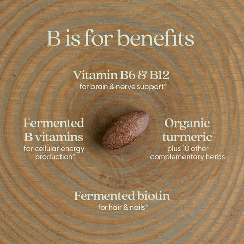 NEW CHAPTER Fermented Vitamin B Complex, 30 Count