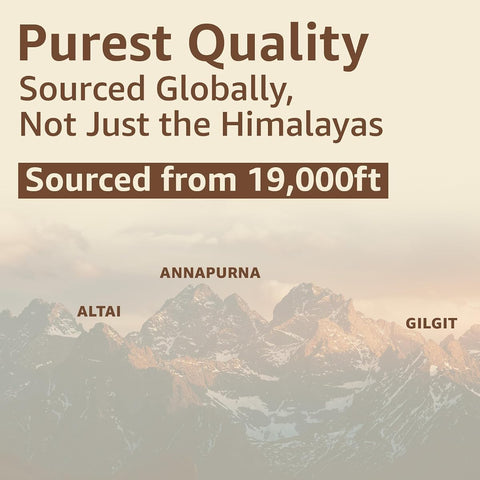 Upakarma Shilajit Resin - Original Ayurvedic Herbal, 10g - Image 8