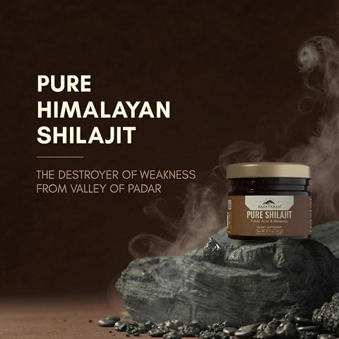 Rasayanam Pure Shilajit Resin - Himalayan Herbal Supplement, 20g - Image 2