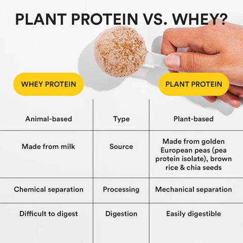 Wellbeing Nutrition Organic Vegan Plant Protein Powder with BCAAs - Chocolate Peanut Butter, 500g - Image 4