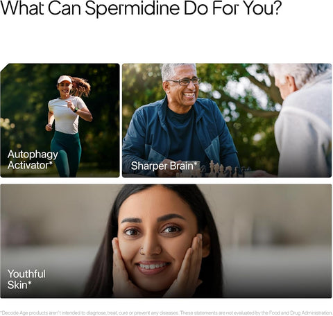 Decodeage Spermidine Capsules - 98% Spermidine Trihydrochloride, 60 Veg Capsules - Image 4