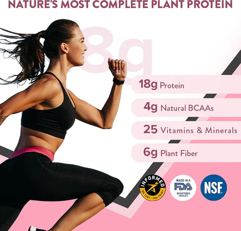 Wellbeing Nutrition Organic Vegan Plant Protein Powder with BCAAs - Chocolate Peanut Butter, 500g - Image 2