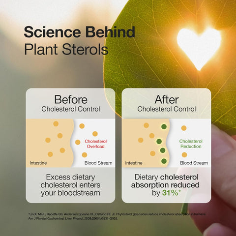 Wellbeing Nutrition Slow Cholesterol Control Capsules - Plant Sterols, 60 Count - Image 2