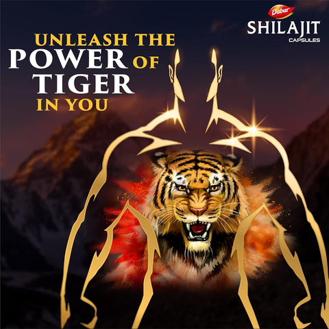 Dabur Shilajit Gold Capsules - Herbal Supplement, Shilajit Resin, 30 Pack - Image 2