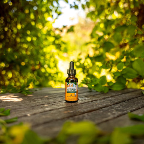 Herb Pharm Kids Echinacea Orange Flavoured 1 Oz 30 Ml