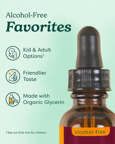 HERB PHARM LEMON BALM GLYCERITE 1 OZ 30ML
