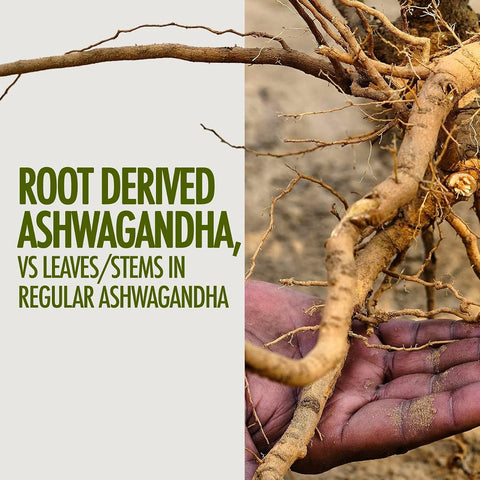 Kapiva Ashwagandha Gold Capsules - Potent with Nagori Ashwagandha & Shilajit, 60 Capsules Pack of 2 - Image 4