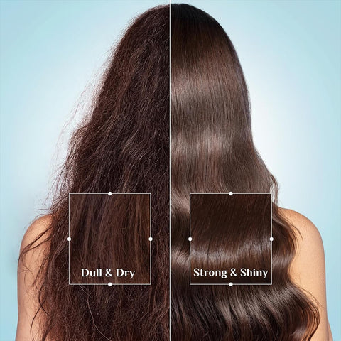 Pilgrim Argan Oil Hair Conditioner with White Lotus & Camellia - 200ml - Image 6