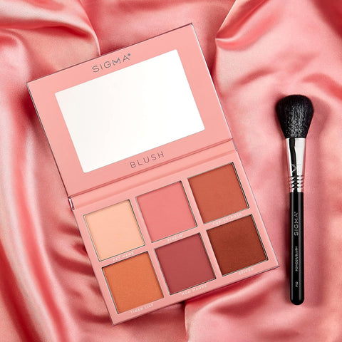 SIGMA F10 - POWDER/BLUSH BRUSH