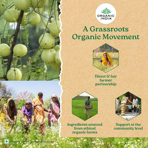 ORGANIC INDIA Moringa Powder - Herbal & Ayurvedic Supplement, 100g - Image 8