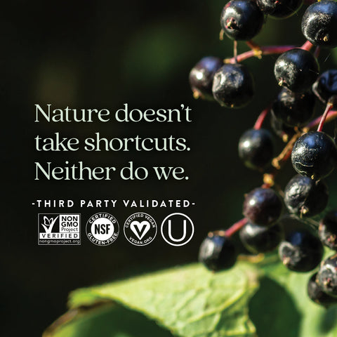 NEW CHAPTER Elderberry Force, 30 Vegan Capsules