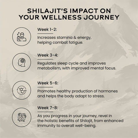 Wellbeing Nutrition Shilajit Silver 10gms